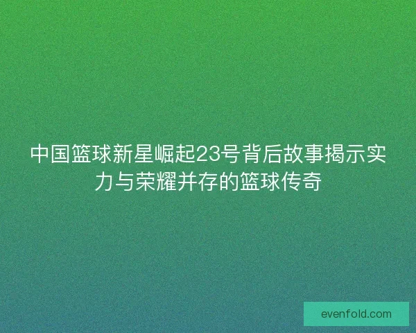 中国篮球新星崛起23号背后故事揭示实力与荣耀并存的篮球传奇